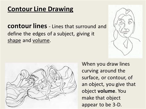 Contour Definition in Art: An Eclectic Exploration