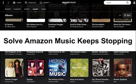 Why Does Amazon Music Keep Crashing: Is It Because My Cat Prefers Spotify?